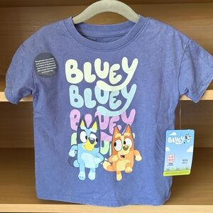 ✨$6✨NWT•Bluey & Bingo Toddler Short Sleeve Tee | Gray Blue |  3T